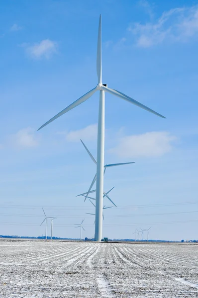 Indiana Rüzgar türbinleri tüm satır 2 — Stok fotoğraf