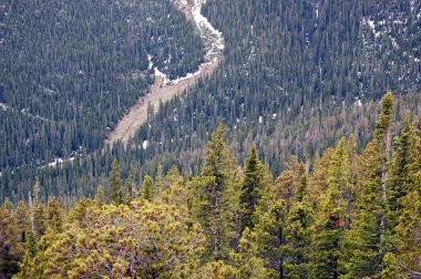 Colorado dağların