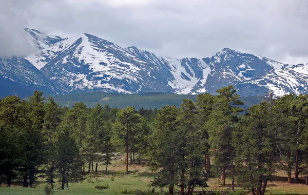 Горах Колорадо — стокове фото