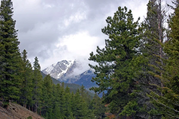 Colorado dağların — Stok fotoğraf