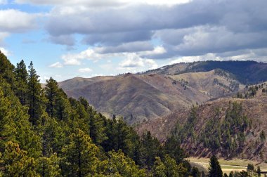 Black Hills Güney Dakota