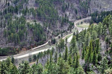 Black Hills Güney Dakota