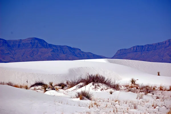 Vit sand New Mexico — Stockfoto
