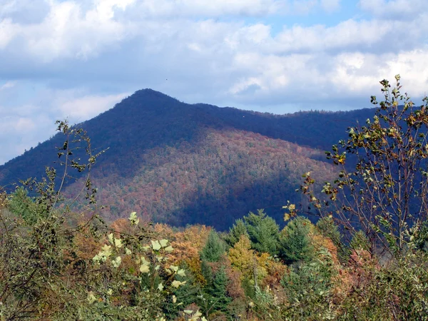 Carolina del Norte en el otoño —  Fotos de Stock