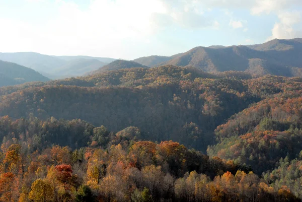Severní Karolína na podzim — Stock fotografie