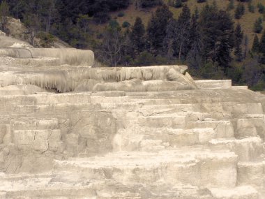 Yellowstone Ulusal Parkı