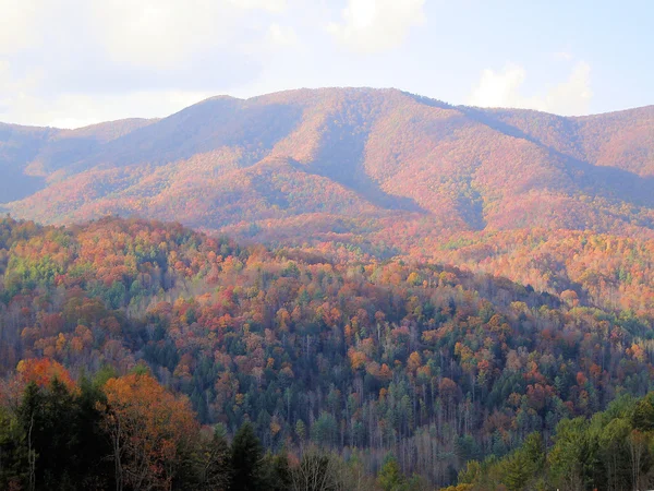 Asheville in the fall — Stock Photo, Image