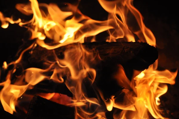 모닥불 불꽃 — 스톡 사진
