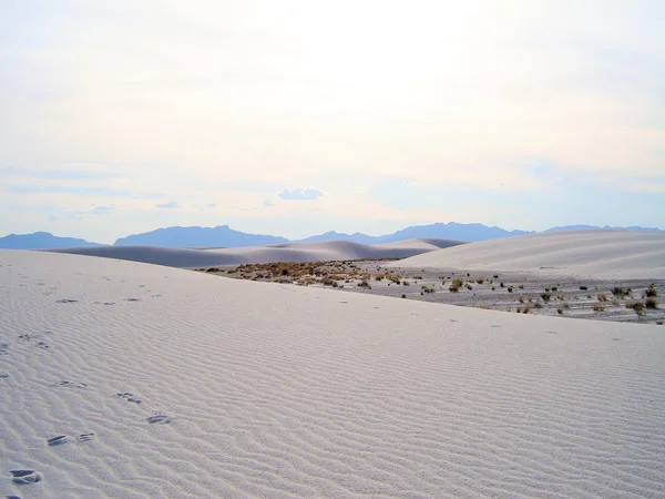 Witte zand — Stockfoto