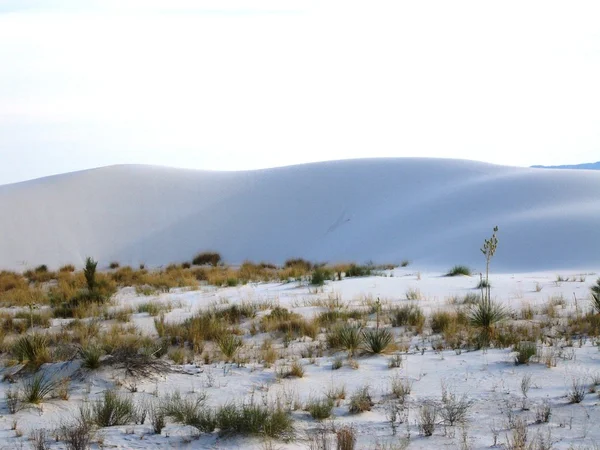 Witte zand — Stockfoto