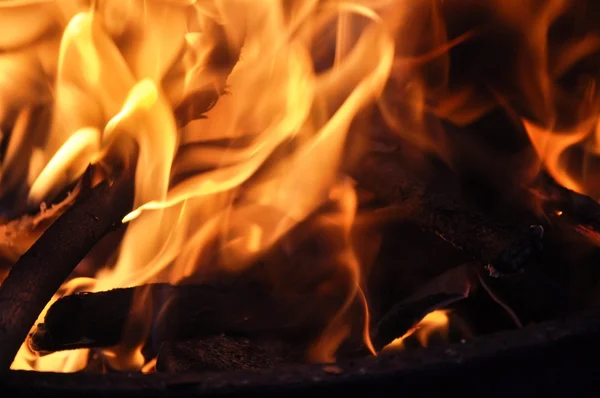 Пламя костра — стоковое фото