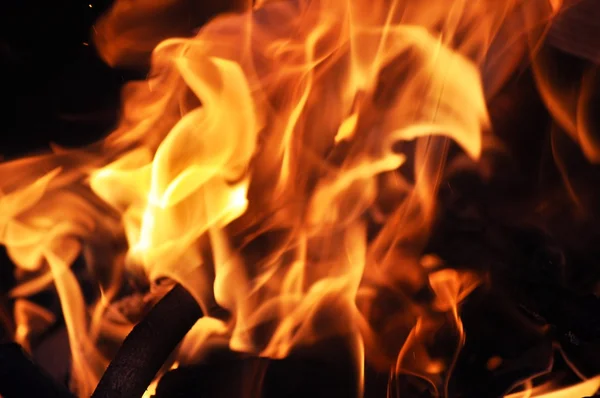 Пламя костра — стоковое фото