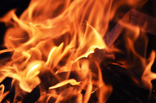 篝火火焰 — 图库照片