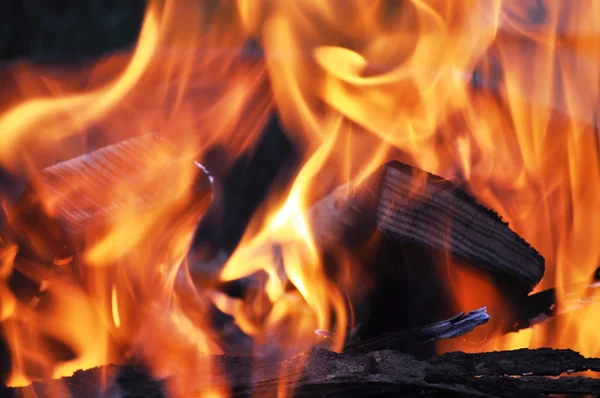 Campfire Flames — Stock Photo, Image