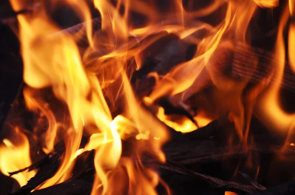 Flammer til bål – stockfoto