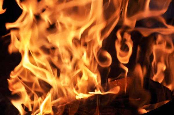 Πυρά προσκόπων φλόγες — ストック写真