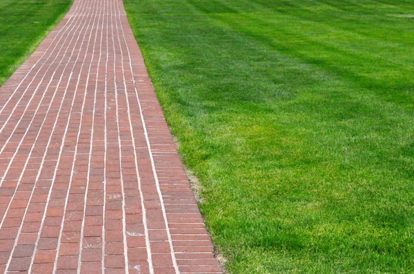 Brick Pathway Green Grass — Stock Photo, Image