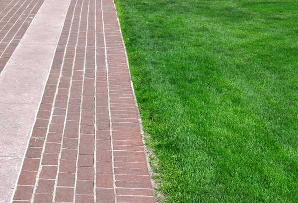 Brick Pathway Green Grass — Stock Photo, Image