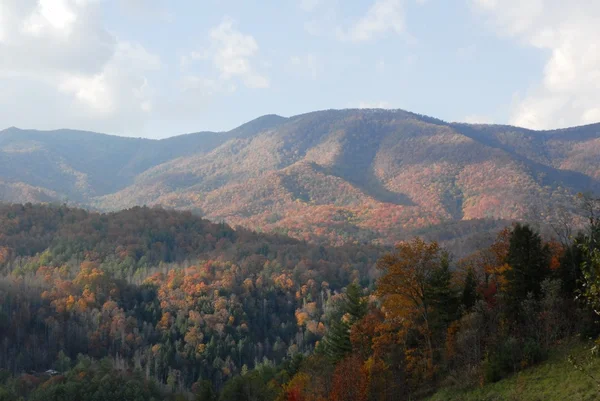 Montañas Carolina Del Norte —  Fotos de Stock