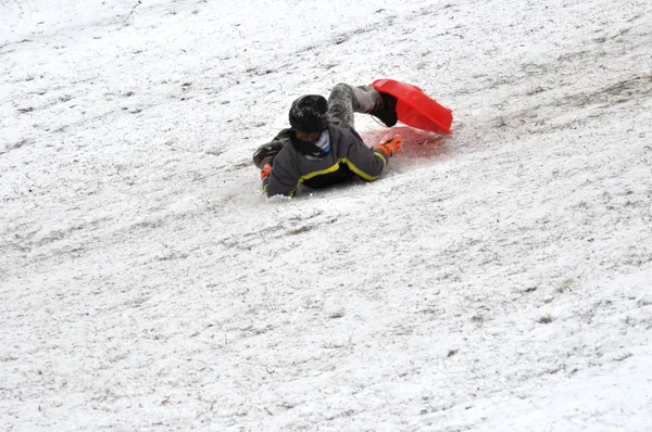 Sledding - falling off sled — Stock Photo, Image