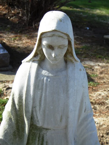 Gravesite - Mary Statue — Stock Photo, Image