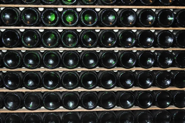 stock image Wine Bottles Perspective