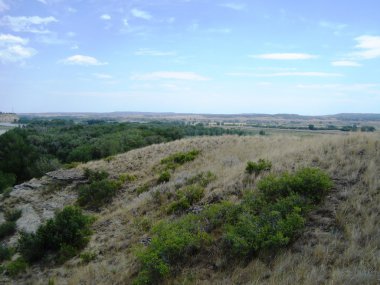 ağaçların tepeleri ve su