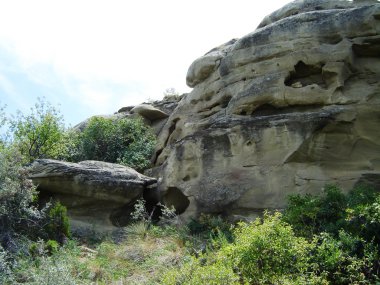 ağaçları ve kayaları