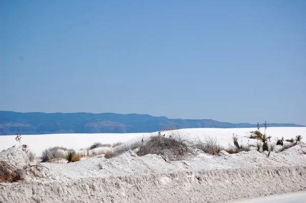 白色的沙滩 — 图库照片