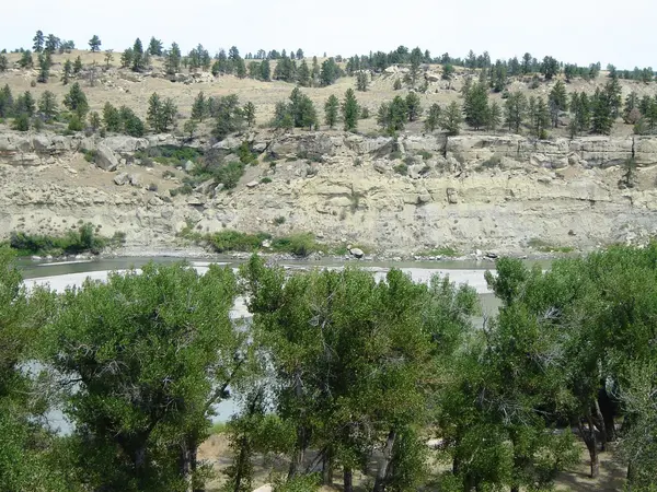 Stock image Trees hills and water