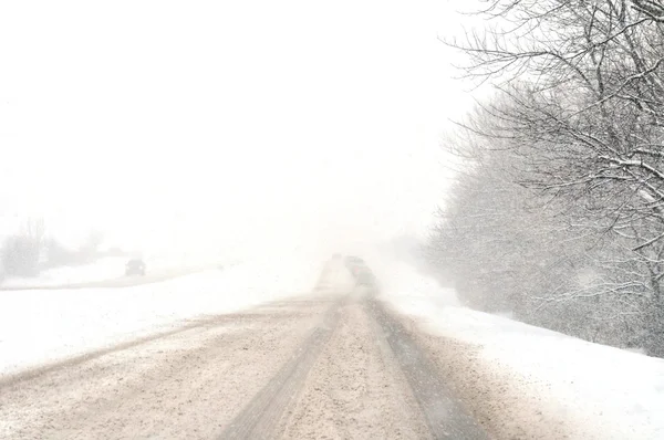 Stock image Snowstorm White Out