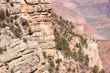 Büyük Kanyon - arizona