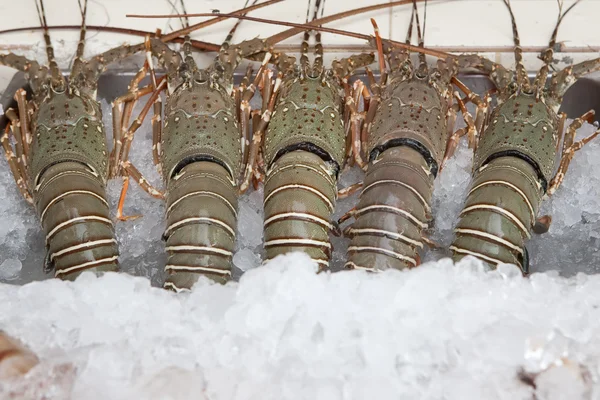 Friss homár vendéglátóipari Thaiföldön — Stock Fotó