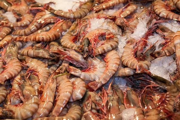 Crevettes fraîches en gros plan dans resaurant — Photo