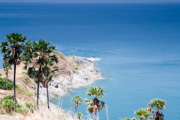 stock image Ocean coast with palm trees