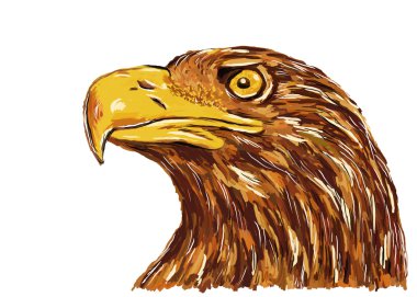 Eagle clipart