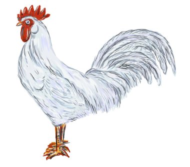 Cock clipart