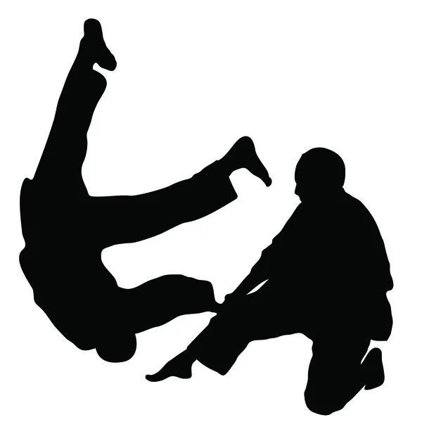 Bojová umění - aikido — Stockový vektor
