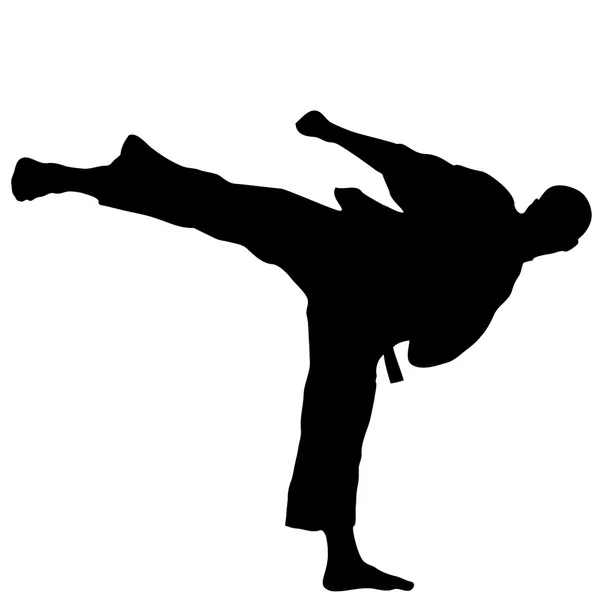 Sztuki walki - wysokie kopnięcie karate — Wektor stockowy