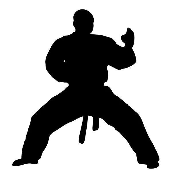 Kampfkunst - Karate — Stockvektor