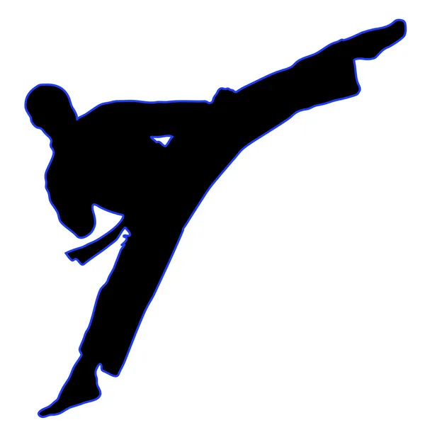 Kampfkunst - Karate High Kick — Stockvektor