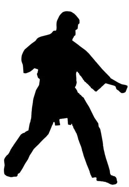 Kampfkunst -Karate — Stockvektor