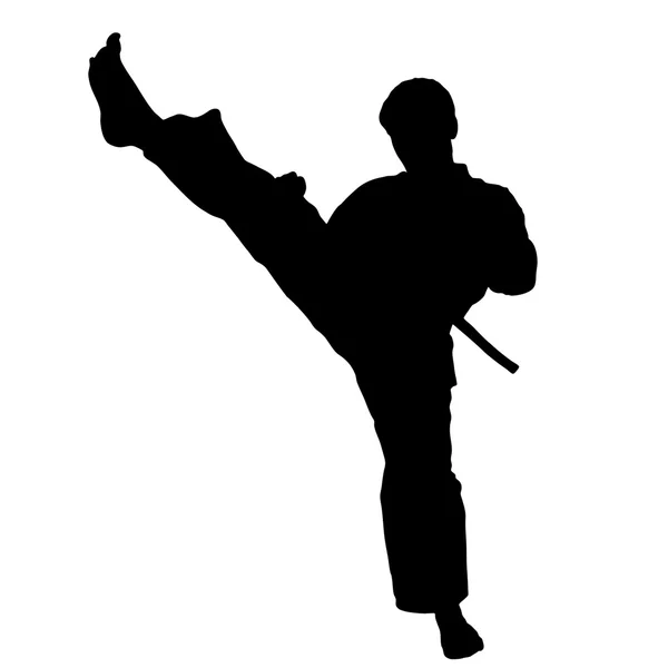 Kampfkunst - Karate High Kick — Stockvektor