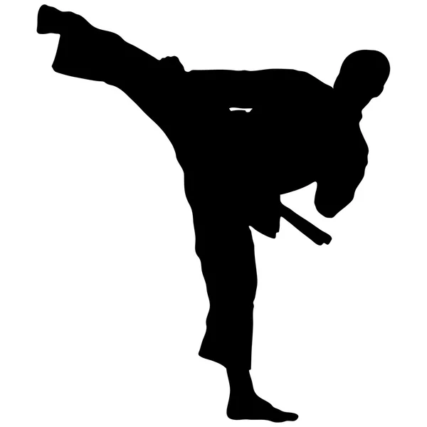 Dövüş sanatları - karate yüksek tekme — Stok Vektör