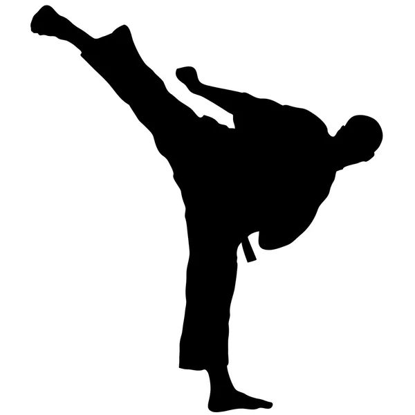 Dövüş sanatları - karate yüksek tekme — Stok Vektör