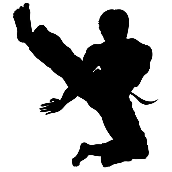 Martial arts - karate-stap-springen — Stockvector