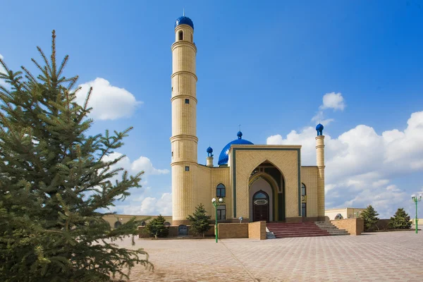 Asiatico musulmano ortodosso moschea islamica . — Foto Stock