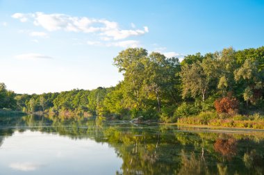 Picturesque forest and the river clipart