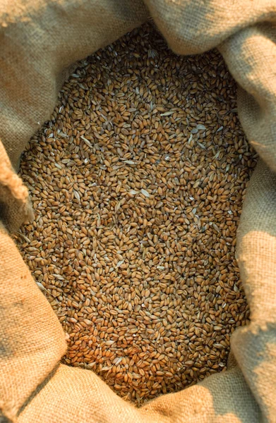 Buğday ile çanta — Stok fotoğraf