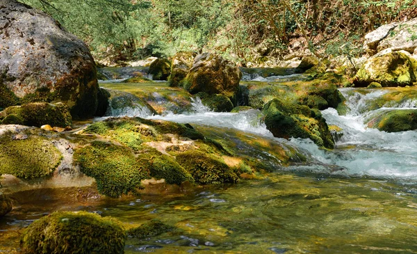 Mountain river — Stock Photo, Image